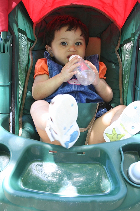 08-05-18-131314.JPG