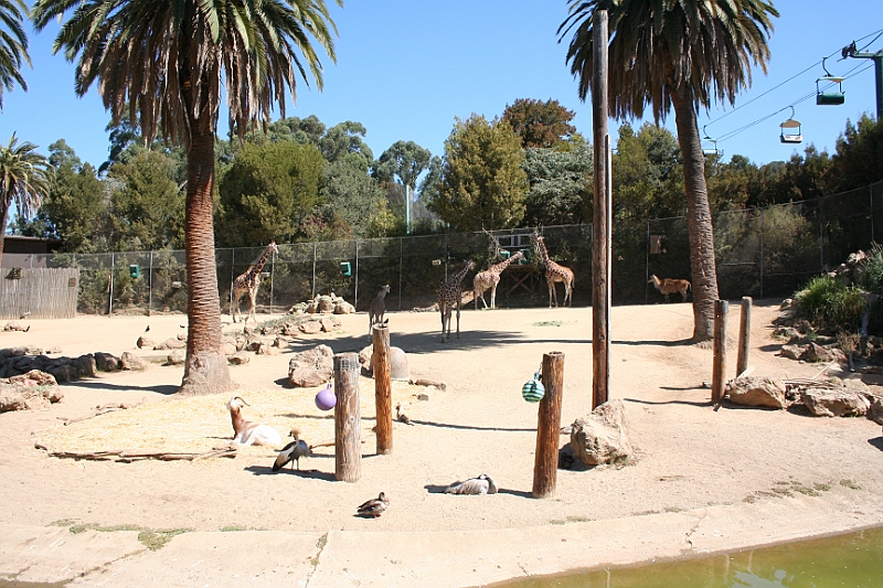 08-08-27-104628.JPG