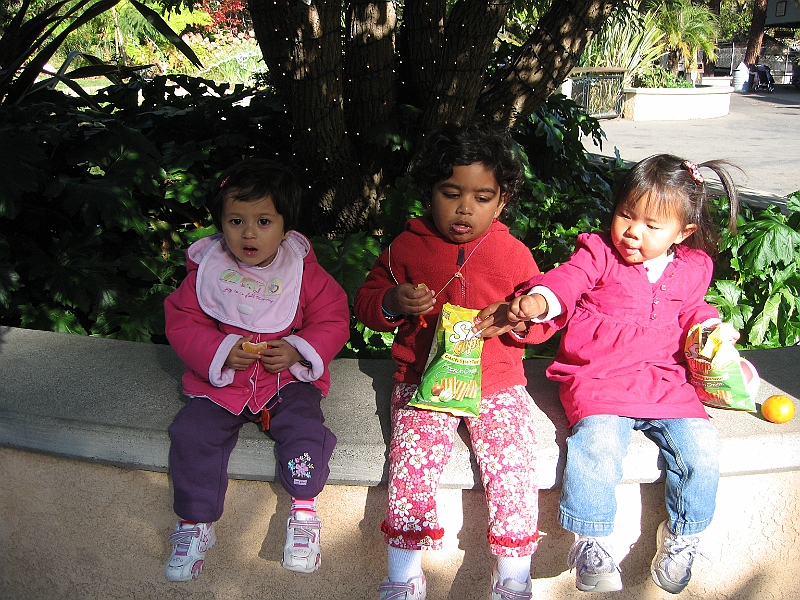 08-12-05-130800.JPG
