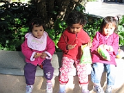 08-12-05-130811