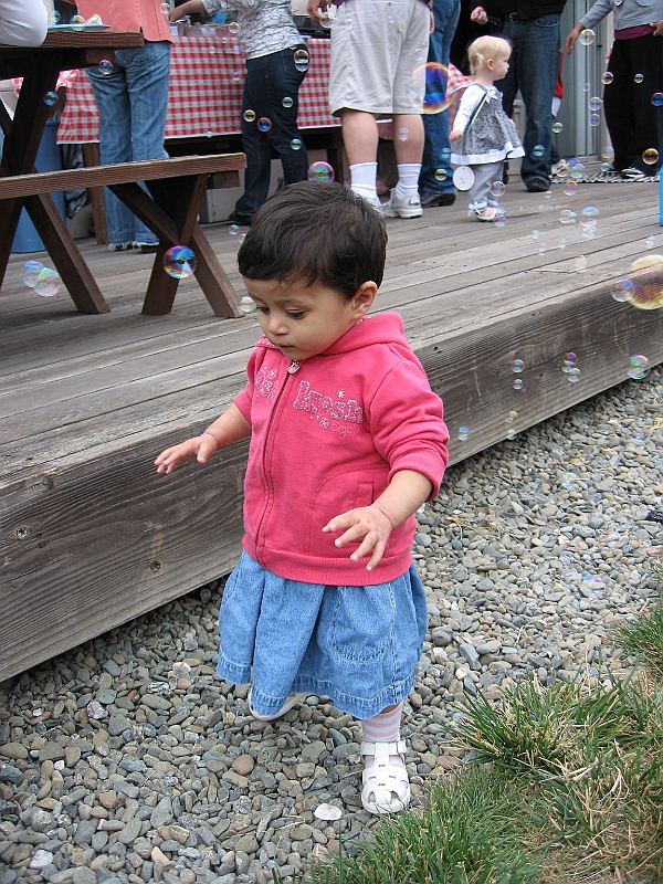 08-05-31-095006.JPG