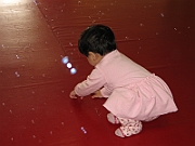 08-04-06-155317