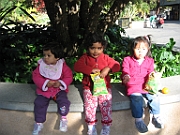 Group Birthday Party at Oakland Zoo