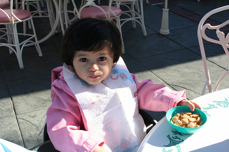 08-12-30-095547.JPG