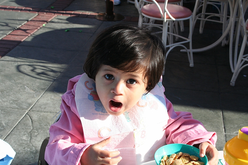 08-12-30-095617.JPG
