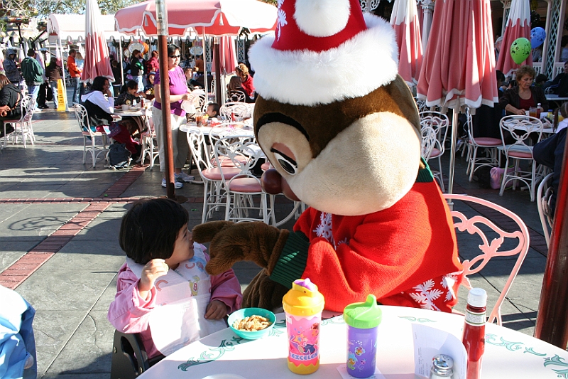 08-12-30-095716.JPG