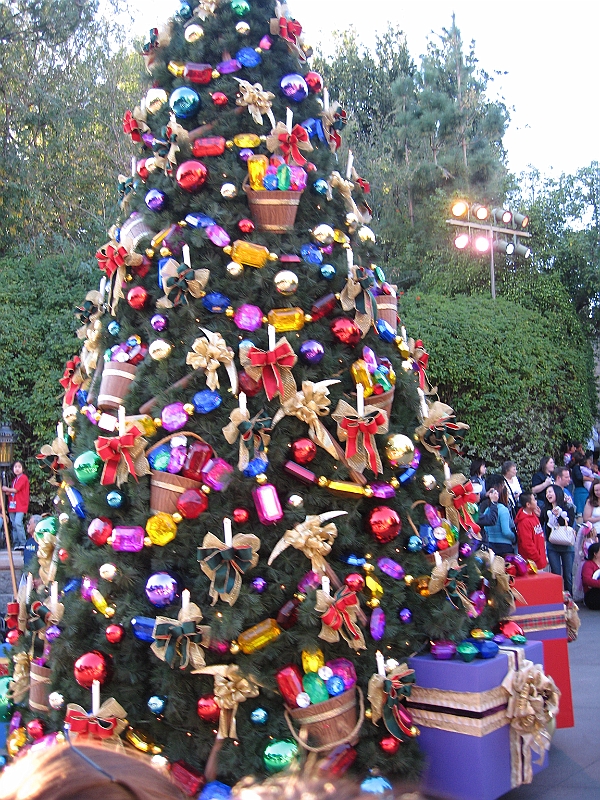 08-12-30-155945.JPG