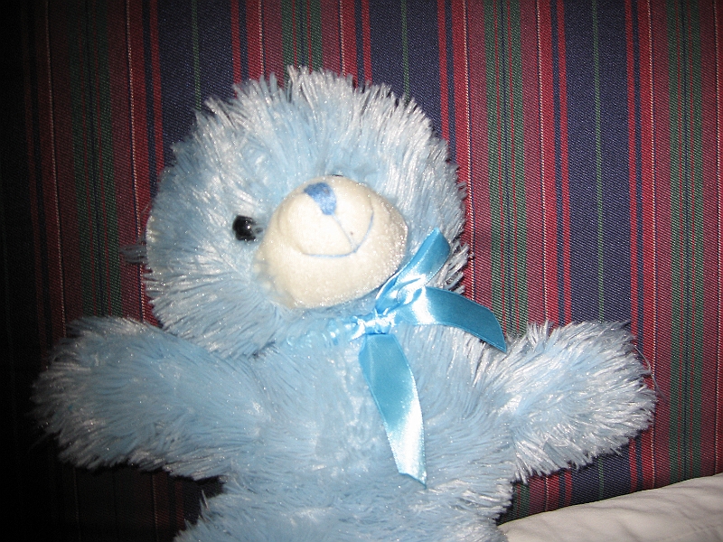 09-01-01-080429.JPG