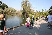 08-06-13-090240