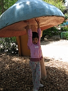 08-05-23-115954