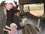 Ardenwood Farm with Aana - Nobember