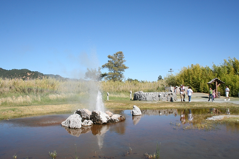 08-07-26-165028.JPG - Old Faithful Geyser of California. The Old Faithful Geyser of California is one of three geysers in the world with the designation "old faithful." These are the geysers that perform at regular intervals. A geyser exists only where conditions are right. These conditions include a natural deep subterranean supply of water, a source of heat and a series of fissures, fractures and cavities that provide a path to the surface of the earth. Surrounding rock formations must be strong enough to maintain continual onslaughts of the intense pressure of steam and water explosions.