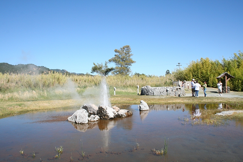 08-07-26-165030.JPG - Old Faithful Geyser of California.