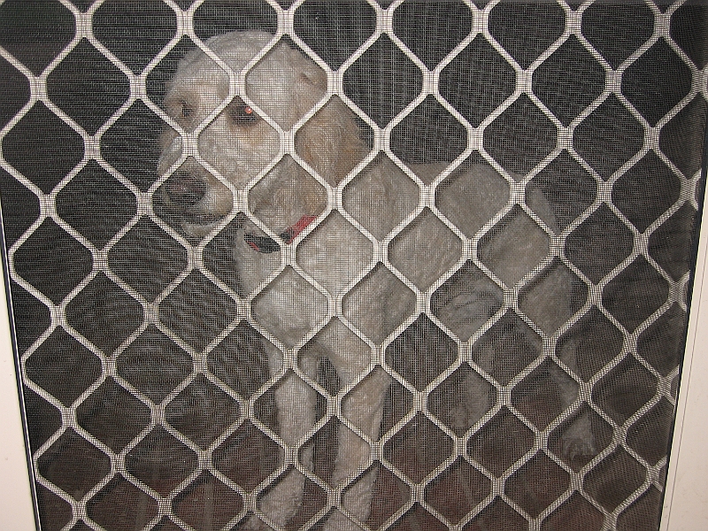 09-04-12-234950.JPG