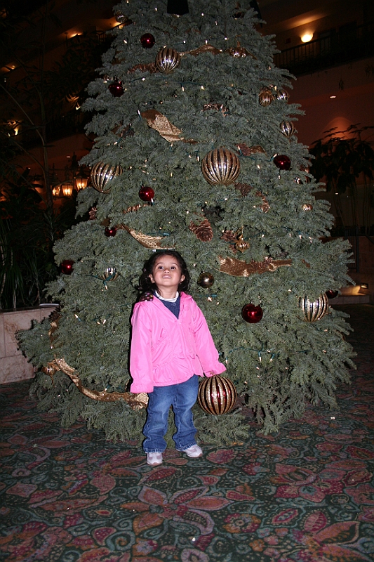 09-12-29-192702.JPG