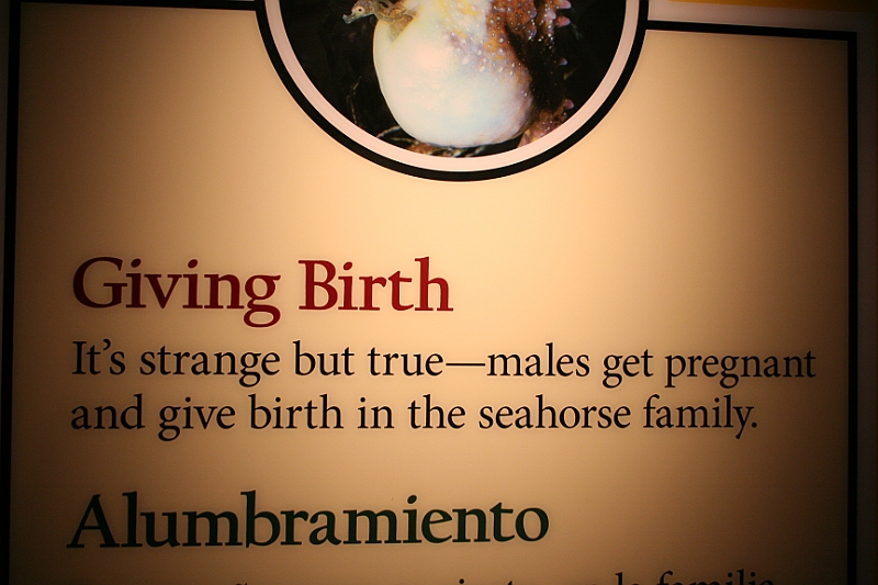 09-12-30-133028.JPG