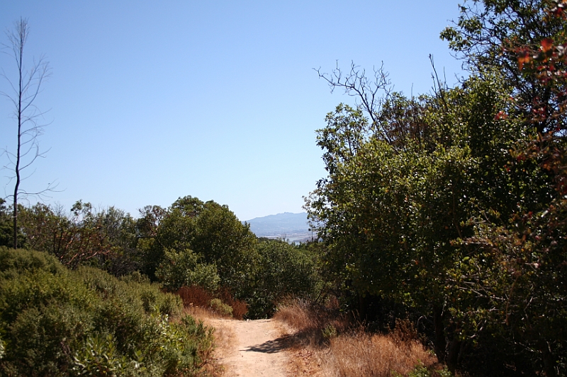 09-09-06-121052.JPG