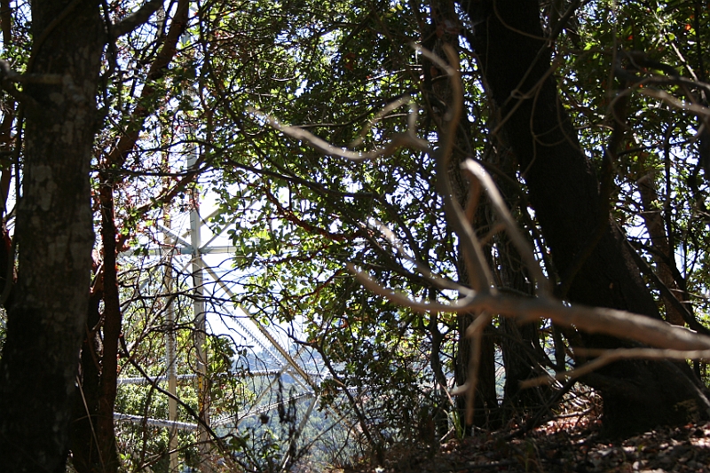 09-09-06-121913 (1).JPG
