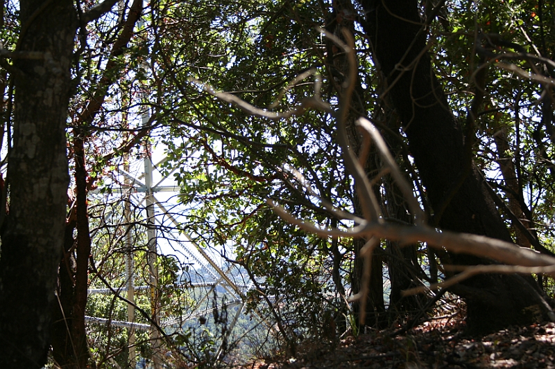 09-09-06-121913.JPG