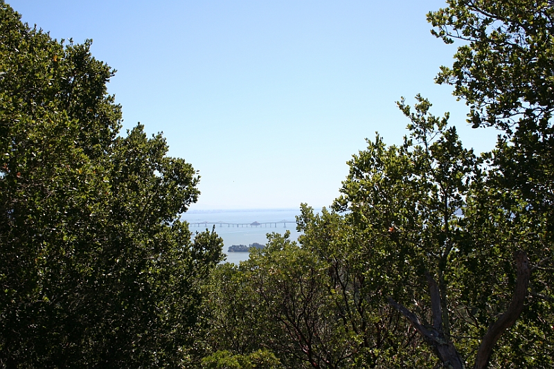 09-09-06-124706.JPG