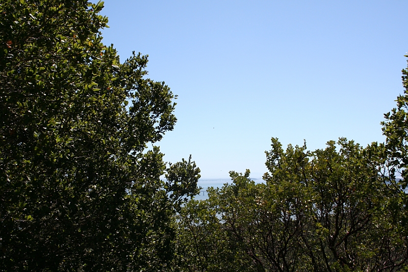 09-09-06-124739.JPG