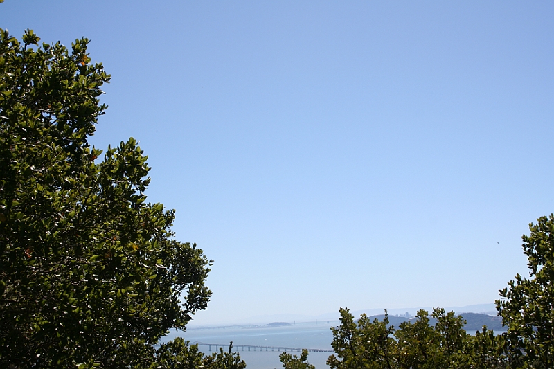09-09-06-124800.JPG