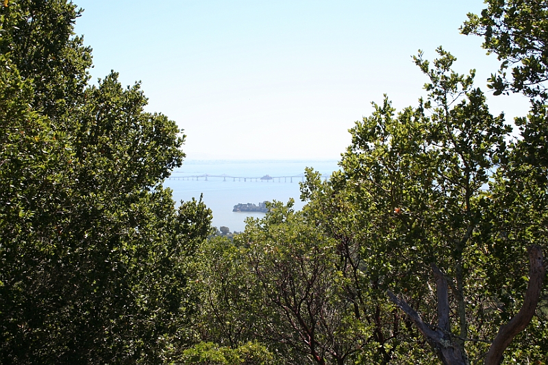 09-09-06-124812.JPG