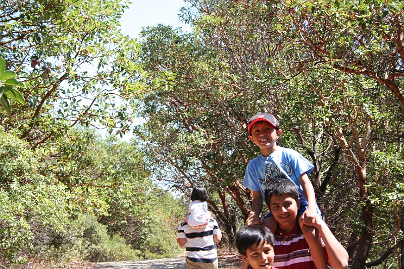09-09-06-130534.JPG