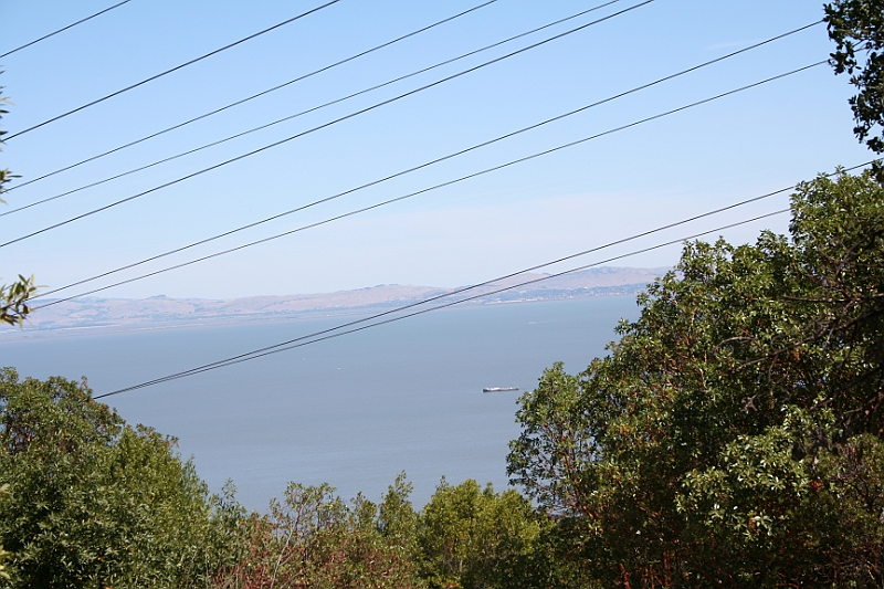 09-09-06-130811.JPG