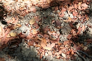09-09-06-115809