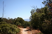 09-09-06-121052 (1)