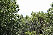 09-09-06-124750