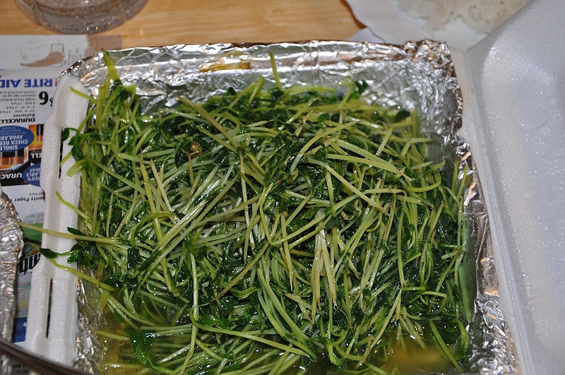 09-08-03-113640.jpg