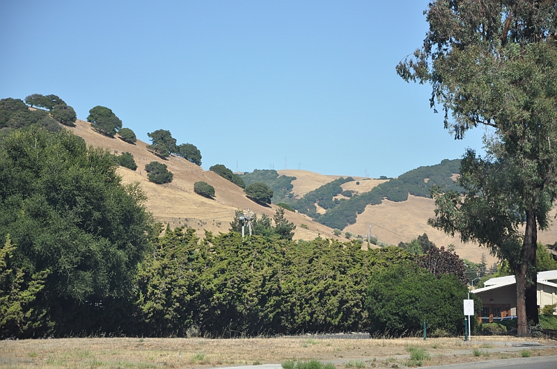09-07-25-072926.JPG