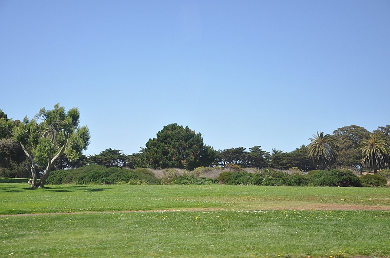 09-08-03-060621.jpg
