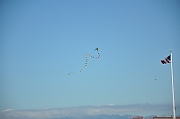 09-08-03-060228