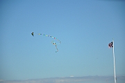 09-08-03-060229