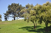 09-08-03-060521