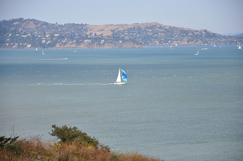 09-08-03-054922.jpg