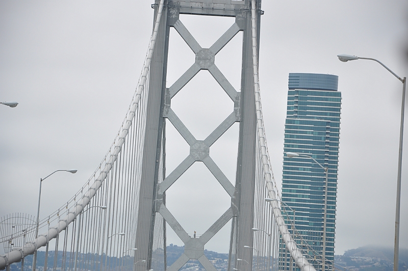 10-08-03-031131.JPG