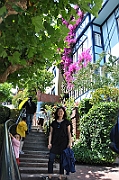 09-08-03-041909