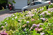 09-08-03-042122