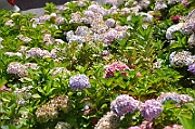 09-08-03-042125