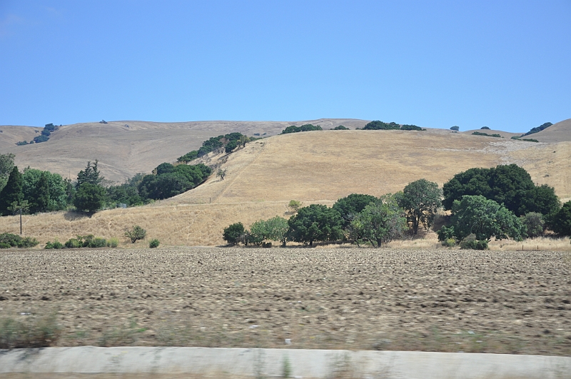 09-08-03-023552.JPG