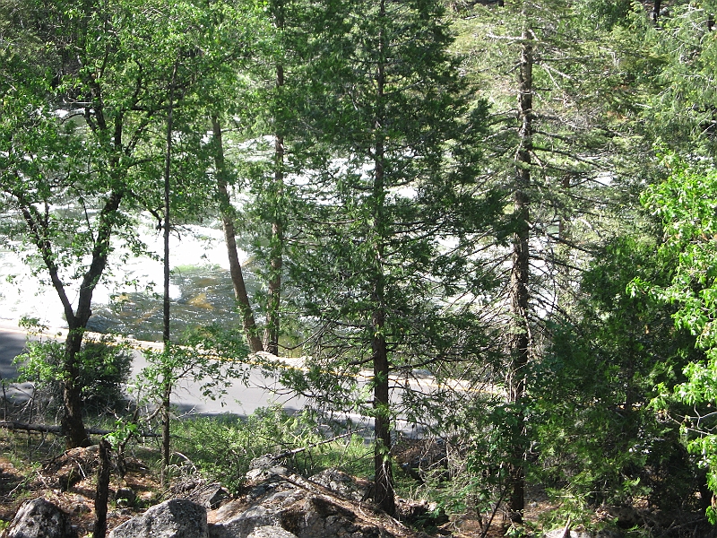 09-05-23-150956.JPG