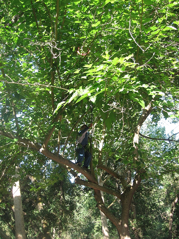 09-05-25-072736.JPG