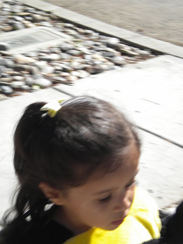 09-10-30-130641.JPG