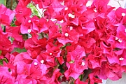 09-06-20-171832