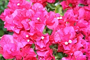 09-06-20-171919