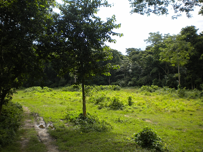 09-08-25-204545.JPG